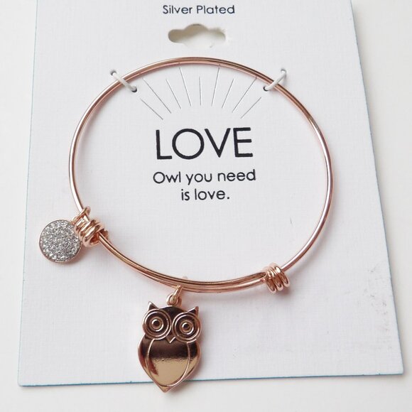 OWL You Need is Love Adjustable Copper Colored Charm Bracelet Silver Plated NEW - Picture 2 of 3